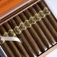 AVO XO Notturno ND Cello Cigar - Box of 20